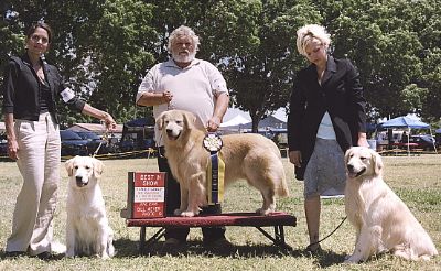 BEST IN SHOW BREEDER GROUP