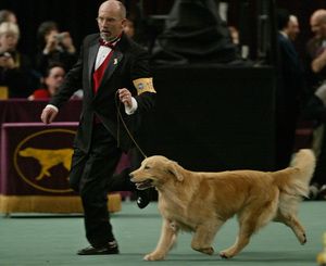 Andy and Ken at Westminster 2006